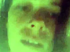 Vanessa Vixon performs a rather erotic strip tease and masturbation in this amative video