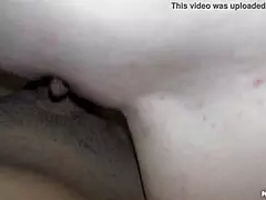 The oral sex and the four-legged position with an experienced slut