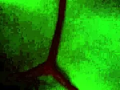 Anal sex with mature Latin woman