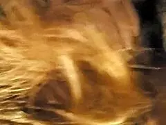 Older mother I’d lovely fuck stepdad’s cock