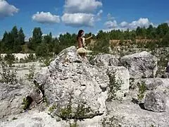 Adult female is twerking without a bra in a beautiful nature area