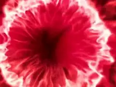 A busty married woman has sex with a Massage Parlor worker and receives a hand job