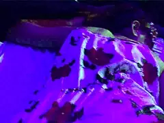 Two beginners try deepthroat and fingering of the ass with the camera in the hands