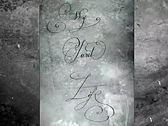 Footage of added mature amateur filming that belongs to the silent movie collection of vintage clips