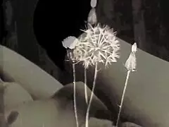 Footage of added mature amateur filming that belongs to the silent movie collection of vintage clips