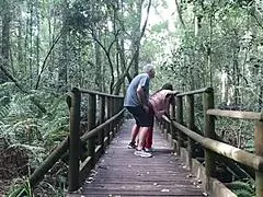 We had sex in the Garden of Eden and almost got caught