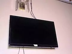 BBC fills up black beauty
