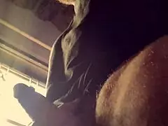 Rain of dicks - bad wolf28