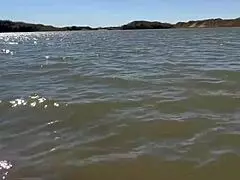 Fished out a girl who liked to suck cock deeply, a rare catch