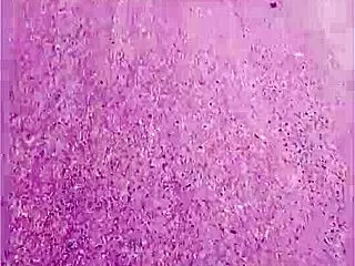 nil